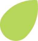 branding leaf